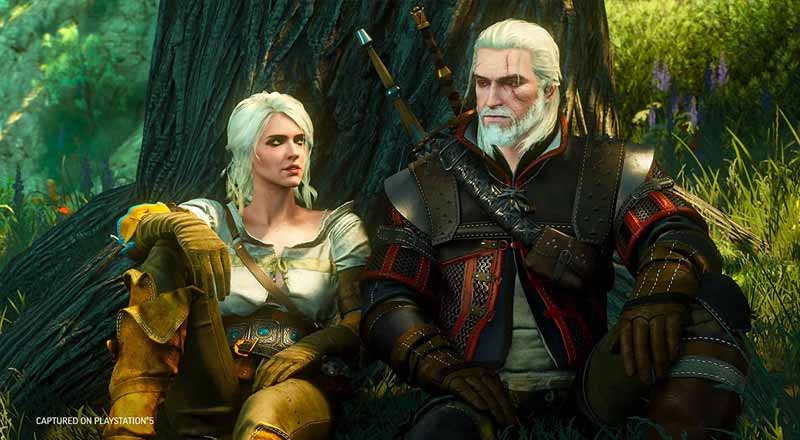 Gameplay The Witcher 3: Wild Hunt
