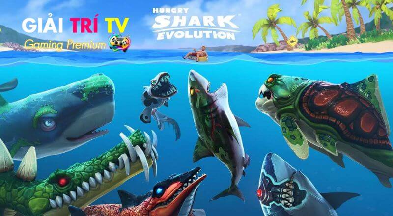 Đồ họa và âm thanh trong Hungry Shark Evolution