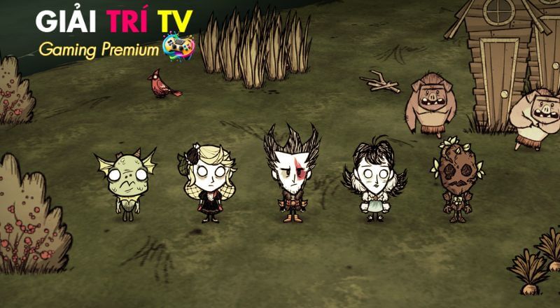 Thông tin tổng quan